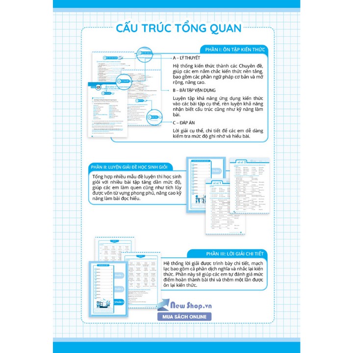 Sách - Luyện Giải Bộ Đề Bồi Dưỡng Học Sinh Giỏi Tiếng Anh Lớp 8