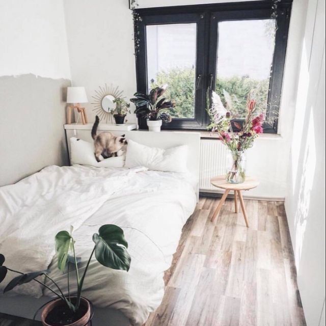 Bộ chăn ga gối cotton poly Trắng Full.