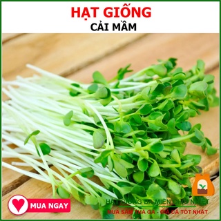 Hạt giống cải mầm phú nông giòn ngọt 30gram