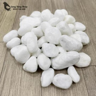 [ Nhiều size ] Đá sỏi trắng trang trí ( chọn size )