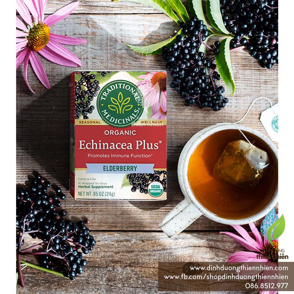 Trà Hữu Cơ Thảo Mộc Echinacea & Quả Cơm Cháy Traditional Medicinals Echinacea Plus Elderberry, Hỗ Trợ Hệ Miễn Dịch