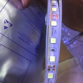 Led dây 5m loại tốt Senyang