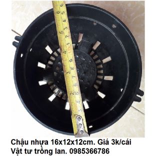 10 chậu nhựa phi đen 16 kích thước 16x12x12cm chậu nhựa trồng lan
