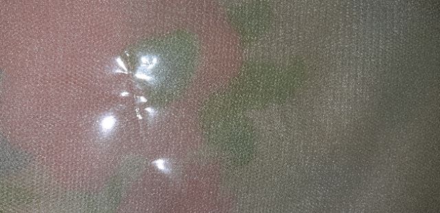 Mùng Voan Thái 1m6 x 2m