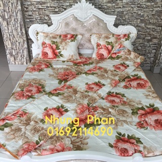 Set Ga Gối Cotton Alnena Ngọc Nữ