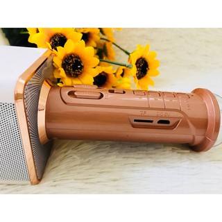 Micro hát kèm loa bluetooth K-09L