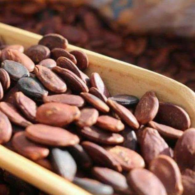 HẠT DƯA NHỎ KHÔNG MÀU LOẠI NGON