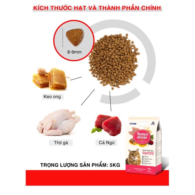 Hạt thức ăn cho mèo mọi lứa tuổi Today's dinner bao 1kg