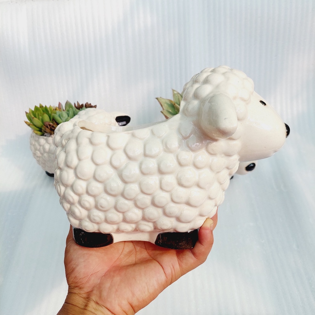 Chậu men, Chậu sen đá - Chú cừu mĩm cười, miệng chậu (dọc 10cm, ngang 9cm), chiều cao 11cm và 17cm