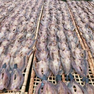 Khô cá lóc đồng ướp tiêu sọ ( gói 1kg)
