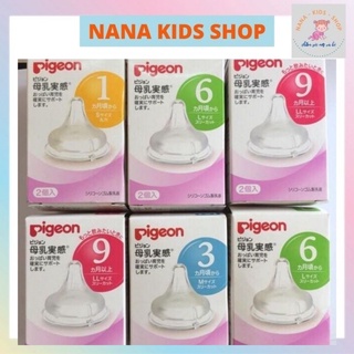 Núm ti pigeon nội địa cổ rộng đủ size s/m/l/ll