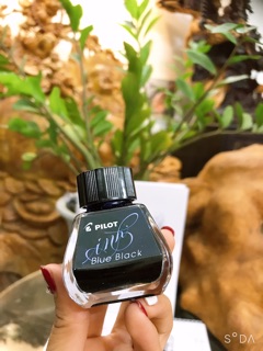 Mực pilot ink Nhật cao cấp 10ml