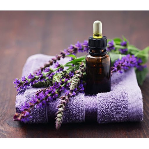 Tinh dầu xông phòng Oải Hương nguyên chất 10ml - Lavender Oil