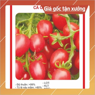 Hạt giống Cà Chua Bi Nhót 30 Hạt Hạt giống