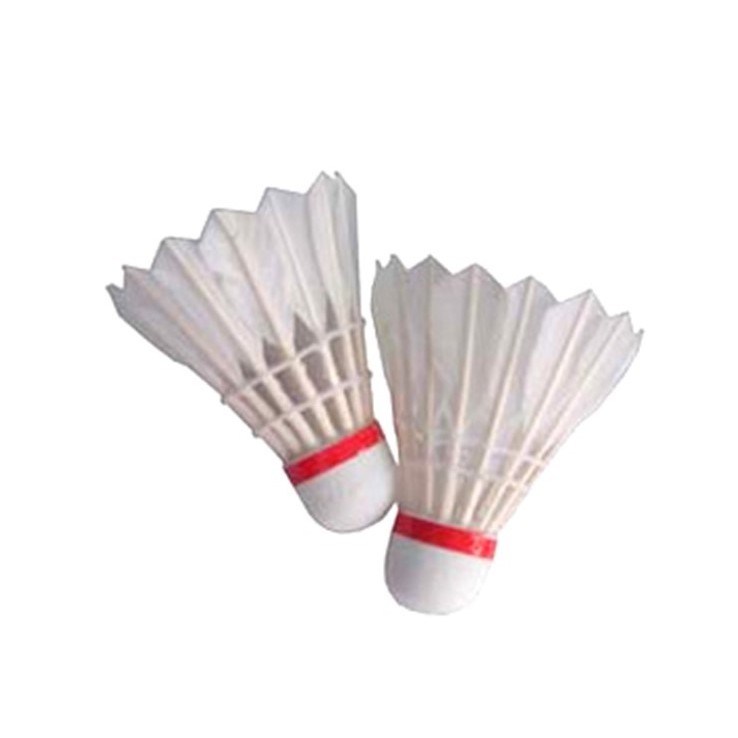 Cầu lông Pando 12 quả cầu GreenSport
