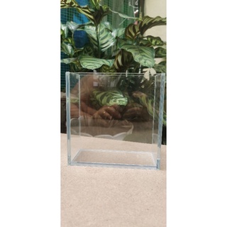 Hồ show cá kính 5li siêu trong 15x7x15