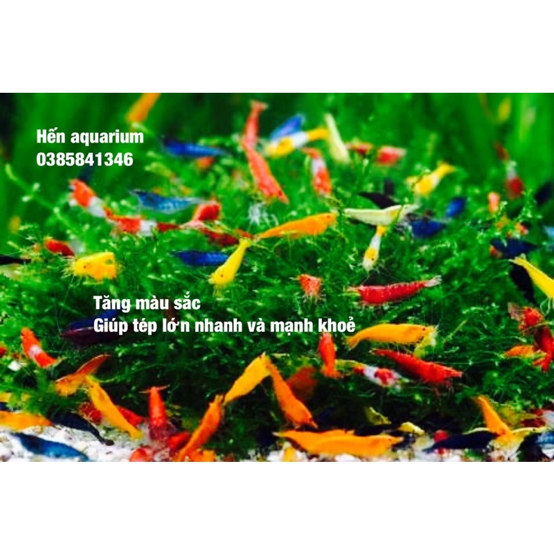 Thức ăn tép siêu bu Ken aqua  - kích màu và tăng size cho tép hiệu quả