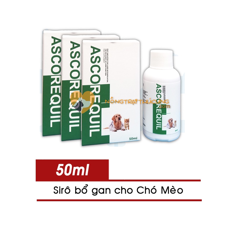 Siro Giải Độc Gan Ascorequil 50ml - Phục Hồi Chức Năng Gan Hiệu Quả, Tăng Tuổi Thọ Cho Chó Mèo - Xuất Xứ Italy