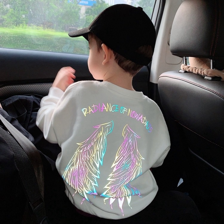 Áo Thun Sweater Hàn Quốc In Hình Đôi Cánh Nhiều Màu Cho Bé