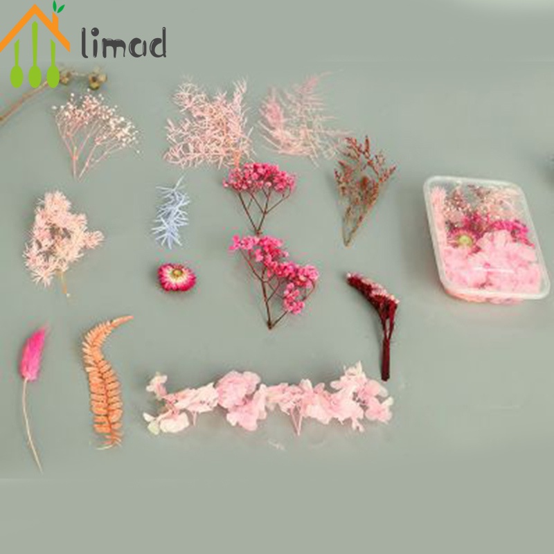 Túi Hoa Khô Nhiều Màu Sắc Dùng Trang Trí Nhà Cửa DIY