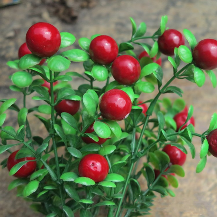 Chậu cây Cherry, Chậu Ớt giả trang trí