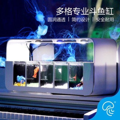 Bể cá betta acrylic 5 ngăn sang trọng hiện đại 10