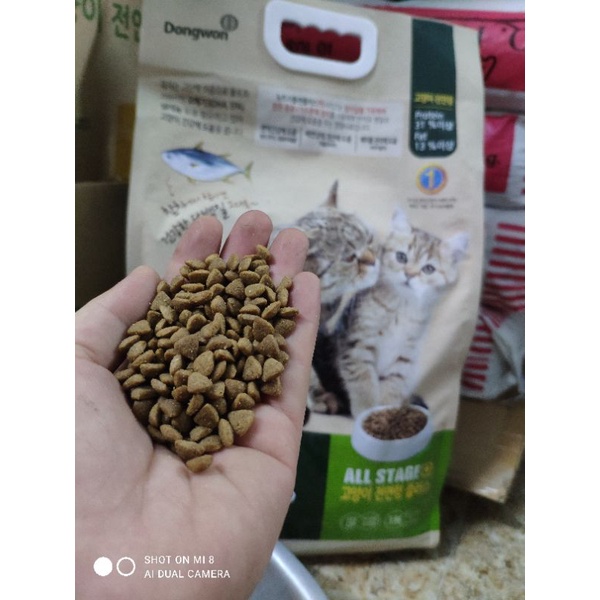 Thức ăn cho mèo NutriPlan cho mọi lứa tuổi, nhập khẩu Hàn Quốc