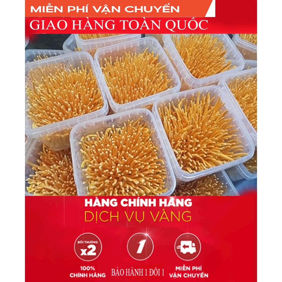 200 gram đông trùng hạ thảo tươi | BigBuy360 - bigbuy360.vn