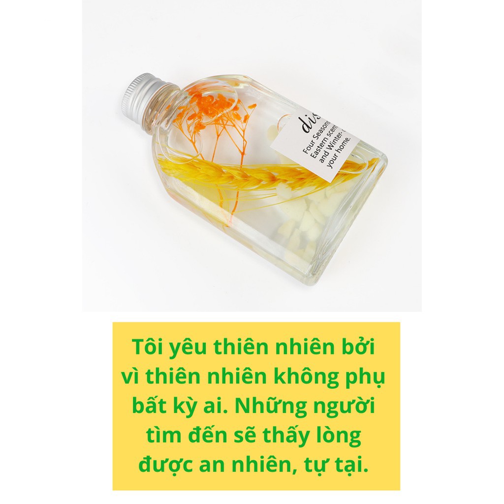 Tinh dầu thơm phòng BYME, lọ tinh dầu thơm để phòng ngủ phát sáng ban đêm - TD15