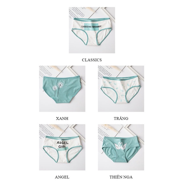 Quần lót cotton cao cấp kháng khuẩn thoáng khí dành cho nữ LAVENUSA QL55