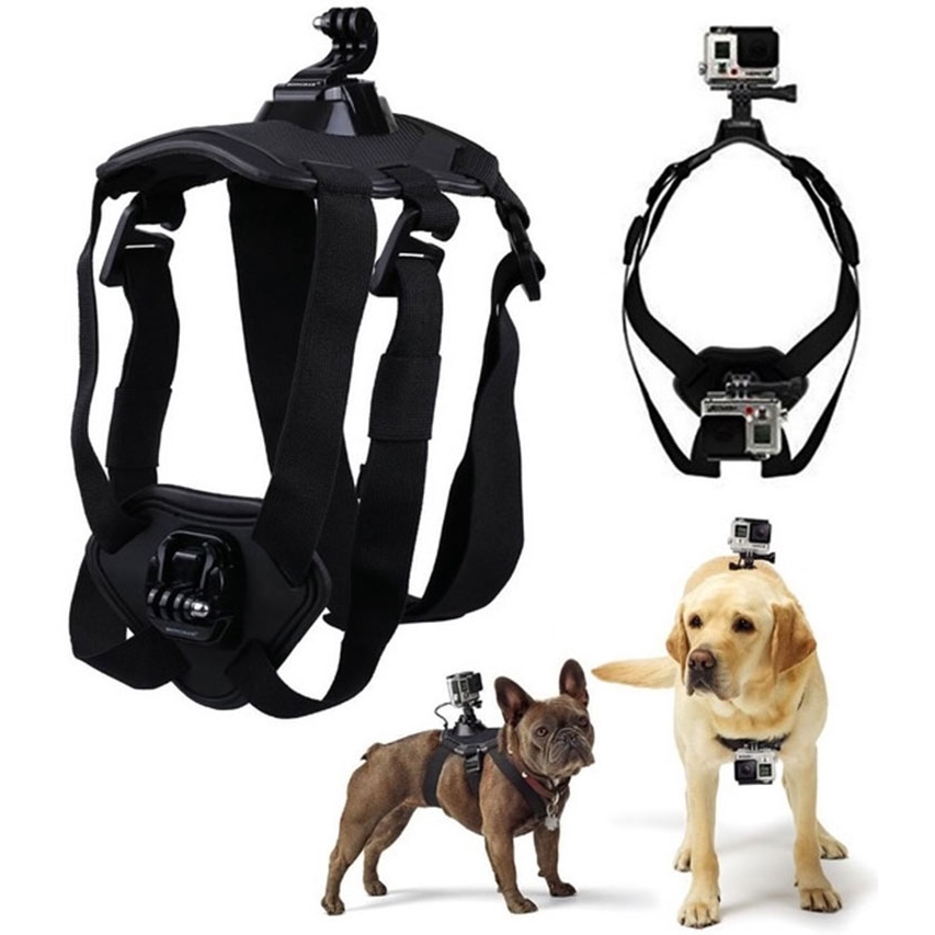 Dây Đeo Action Cam Cho Thú Cưng - Hàng Nhập Khẩu