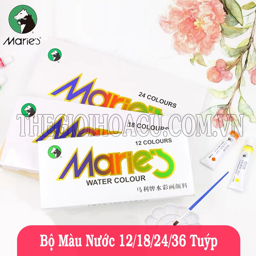 Bộ Màu Nước MARIE's 12/18/24/36 Màu Học Sinh