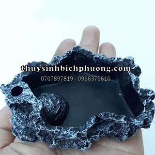 CHÉN CHO TÉP ĂN GIẢ ĐÁ | KHÔNG LÀM DƠ NỀN THỦY SINH KHI CHO TÉP ĂN
