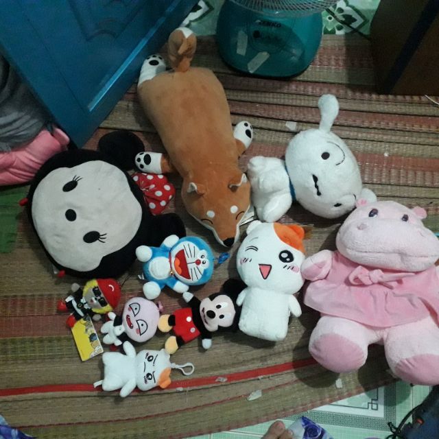 Gấu cua khách