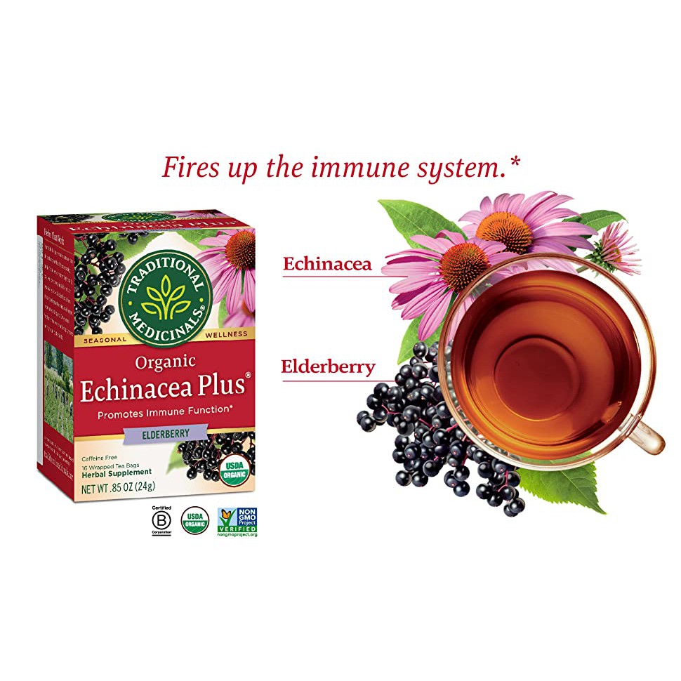 Trà hữu cơ hỗ trợ hệ miễn dịch ( Organic Echinacea Plus Organic Tea) - Traditional Medicinals