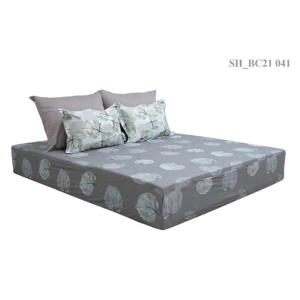 Bộ ga chun 180x200 có chần cotton Sông Hồng