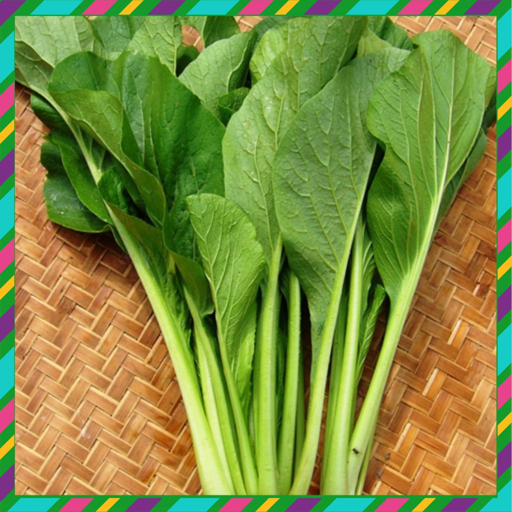 Hạt giống cải ngọt - Nảy mầm tuyệt đối