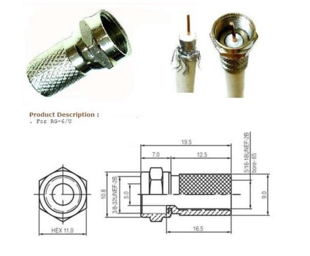 jack chia chạc chia ăng ten f đực 2 f cái