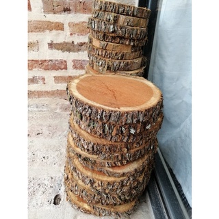 🌵lát gỗ 20-30cm decor, chụp hình, lót đồ ăn🪵
