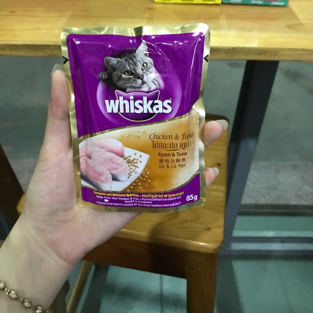 Pate whiscat