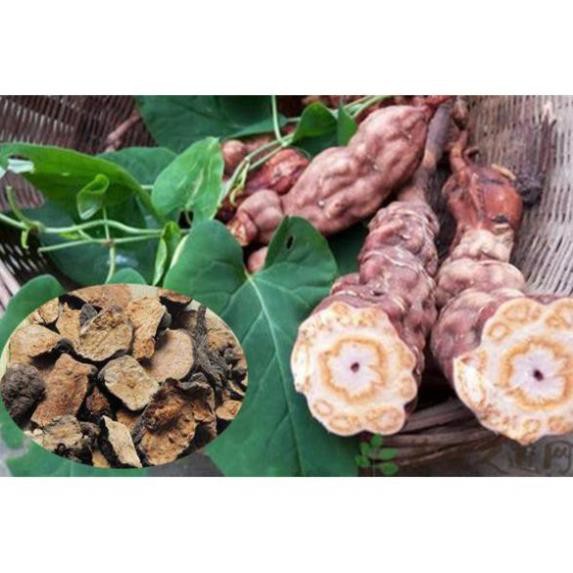 Dầu gội bồ kết chính hãng công ty 1000ml | BigBuy360 - bigbuy360.vn