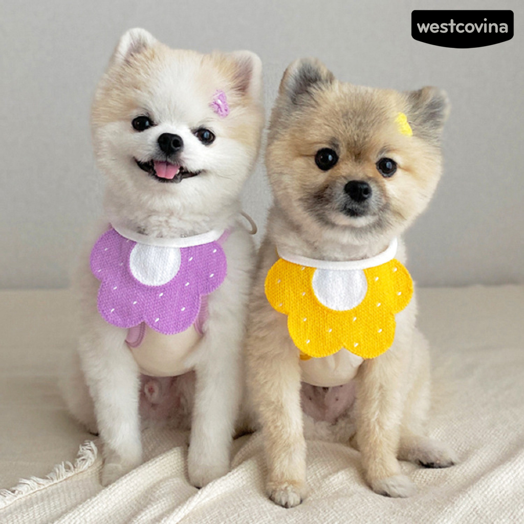 Vòng cổ kèm yếm ăn dệt kim hình bông hoa đáng yêu cho cún cưng