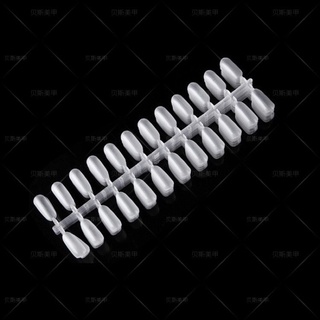móng mẫu tròn 240 móng