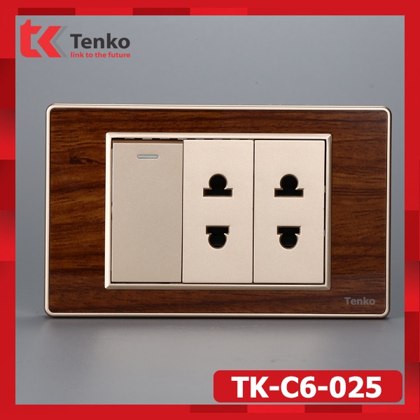 Công Tắc Kèm Ổ Cắm Vân Gỗ Cao Cấp Mặt Vân Gỗ Viền Vàng Dùng Đế Chữ Nhật Thông Dụng - Thương Hiệu Nhật TK-C6-025