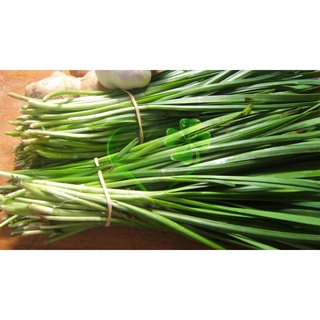 Hạt giống hẹ lá - gói 1 gramMS141