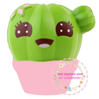 Squishy chậu xương rồng