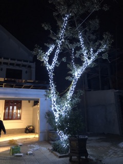 Led quấn cây, led đúc