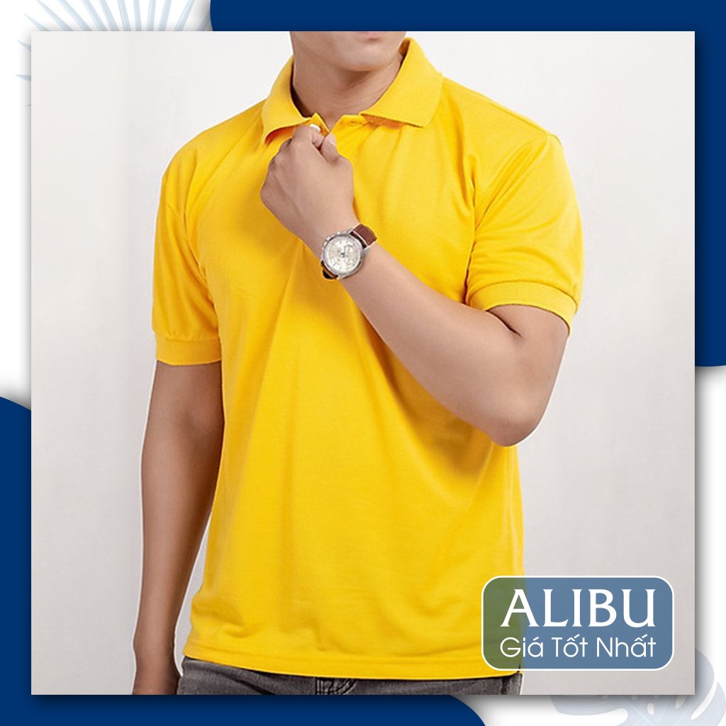 áo Thun Có Cổ Cá Sấu 4 Chiều Giá Rẻ đồng phục nhóm công ty nam nữ | BigBuy360 - bigbuy360.vn