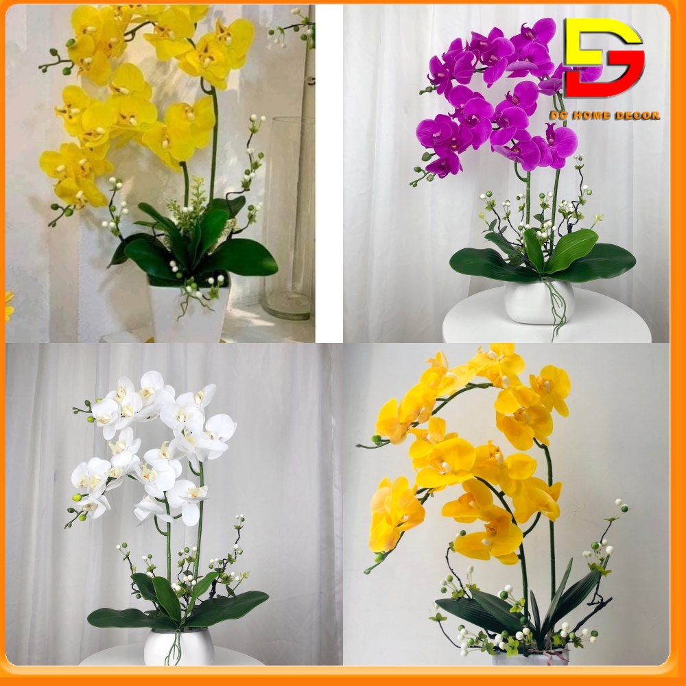 Chậu Hoa Lan Hồ Điệp Cao Su Tuyệt Đẹp Trang Trí Bàn Trà, Kệ Tủ, Làm Quà Tặng Sang Trọng DG-42