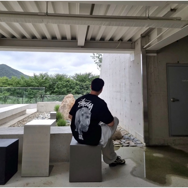 Áo Thun Stussy Big Hippo 100% CHÍNH HÃNG - CÓ SẴN